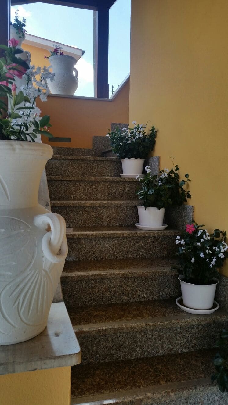 Affittacamere Stranamore Frascati Exterior photo